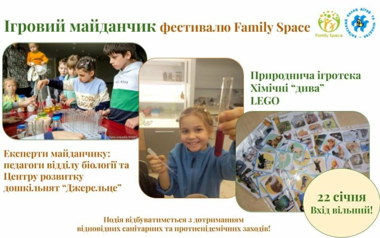 Ігровий майданчик фестивалю Family Space