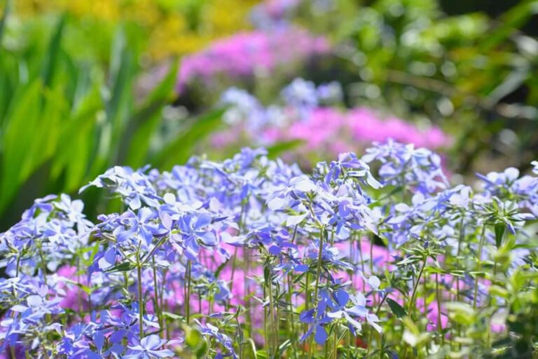 І знов про мотивацію….