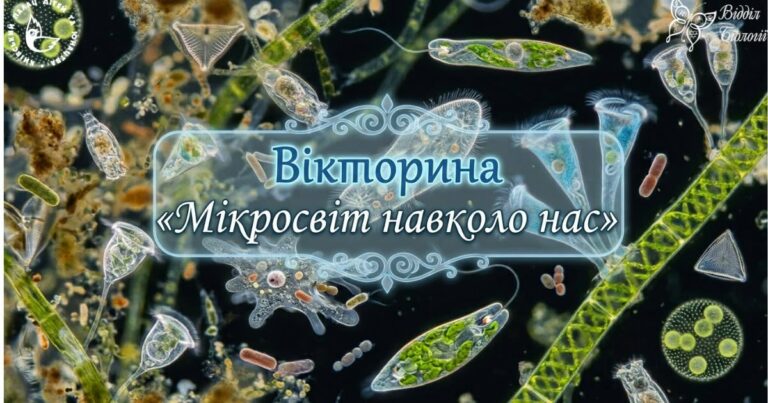 Вікторина «Мікросвіт навколо нас»